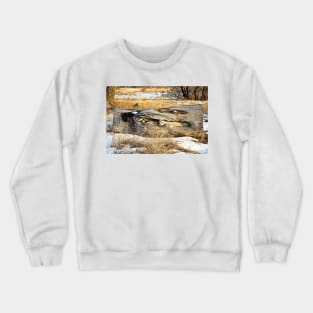 Cherry Creek Winter Study 3 Crewneck Sweatshirt